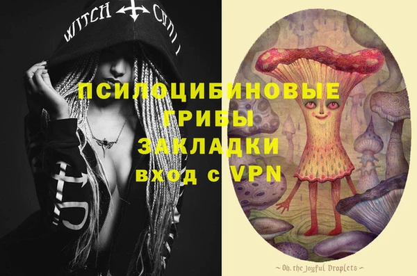 СК Бронницы
